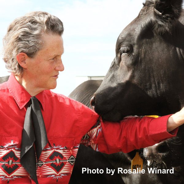 Dr Temple Grandin Photo